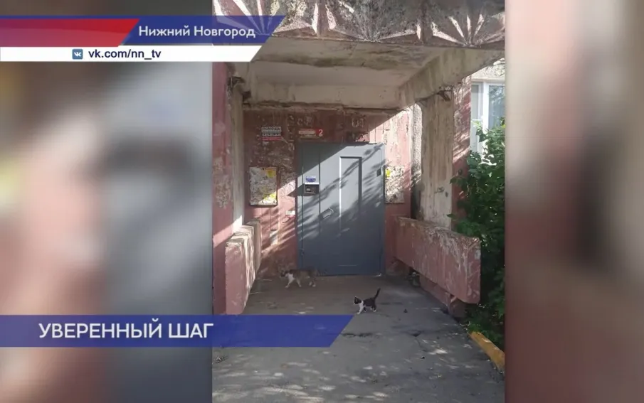 Госжилинспекция проверила ремонт входной группы в доме № 14 по улице Глеба Успенского